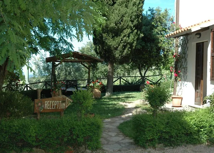 Casa vacanze: Agriturismomillefiori